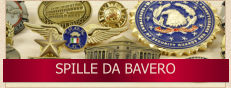 SPILLE DA BAVERO